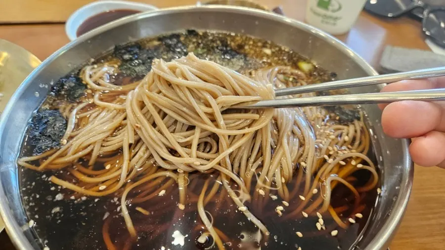 Soba broth with scallion and grated radish added