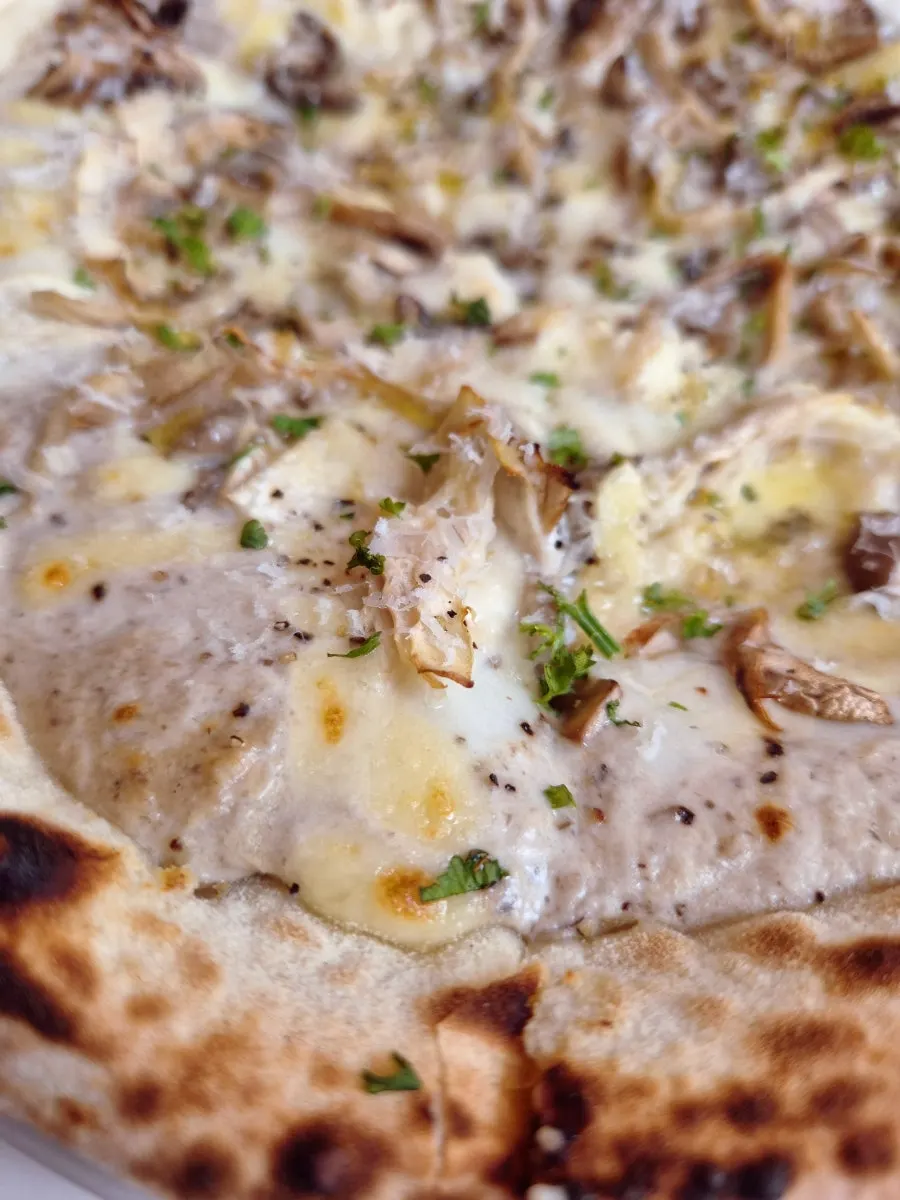 Pizza generously topped with various mushrooms