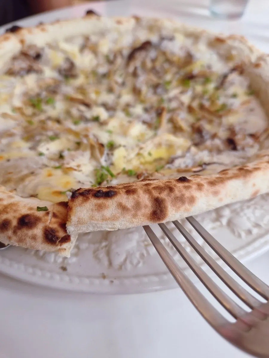 Close-up of golden-browned mushroom pizza