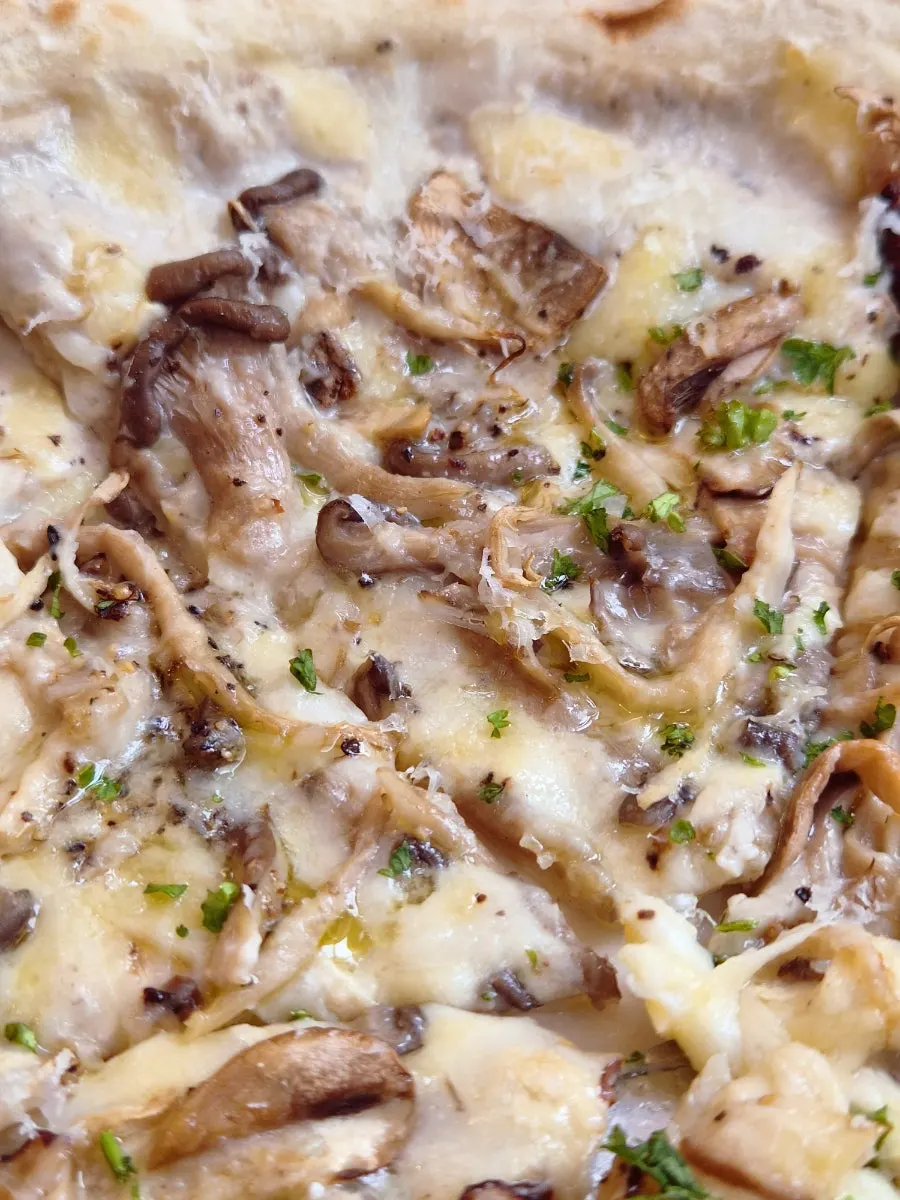 Mushroom pizza slice showing moist dough