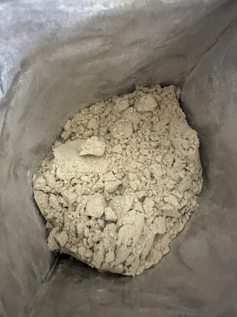 Black soybean protein powder in powdered form