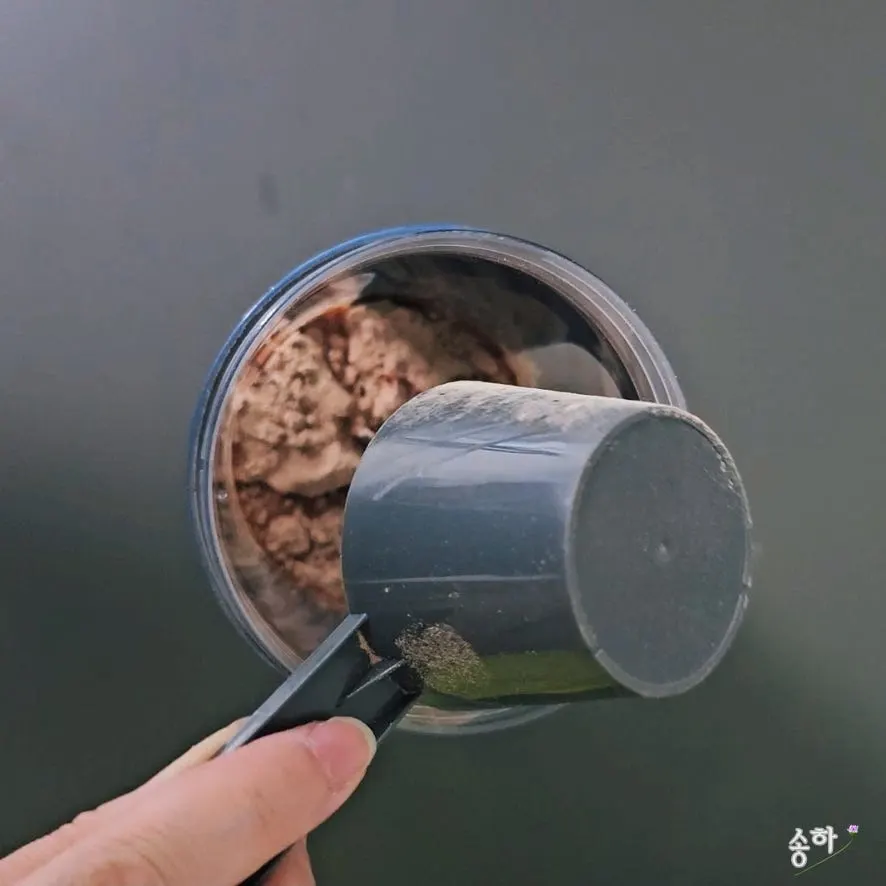 How to consume protein powder