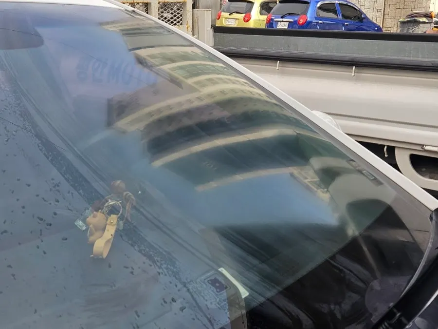 Applying the product to slightly damp car glass