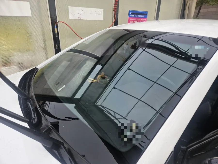 Checking the glass surface after using AutoGrooming