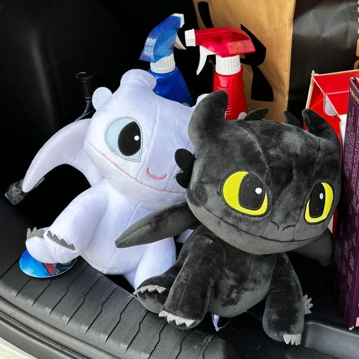 How to Train Your Dragon doll my dad brought as a gift