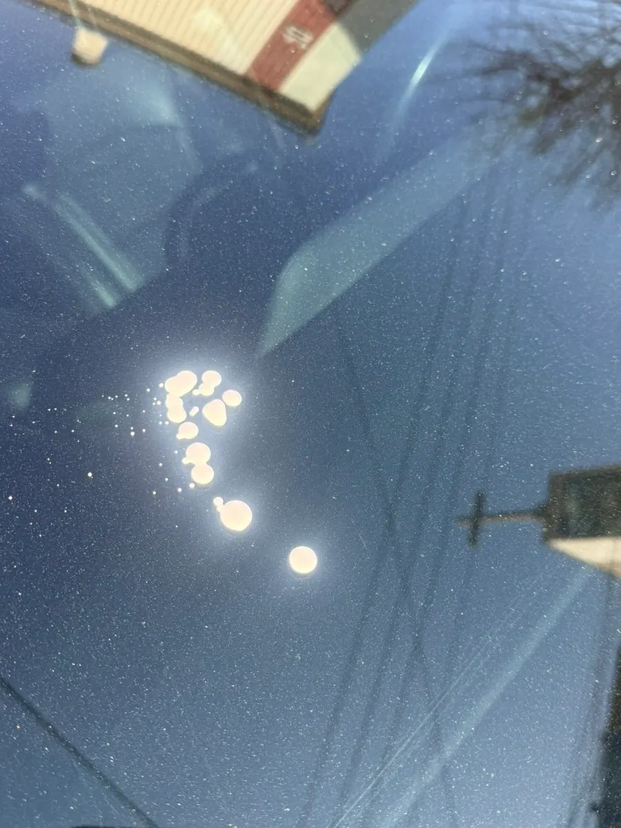Vehicle glass treated for oil film with an AutoGrooming product
