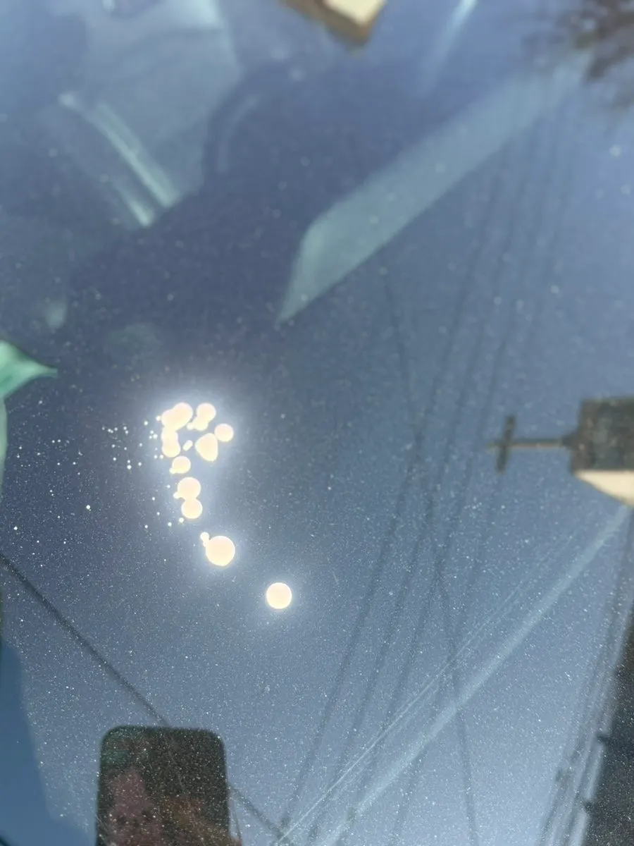 AutoGrooming product for managing water marks on household glass