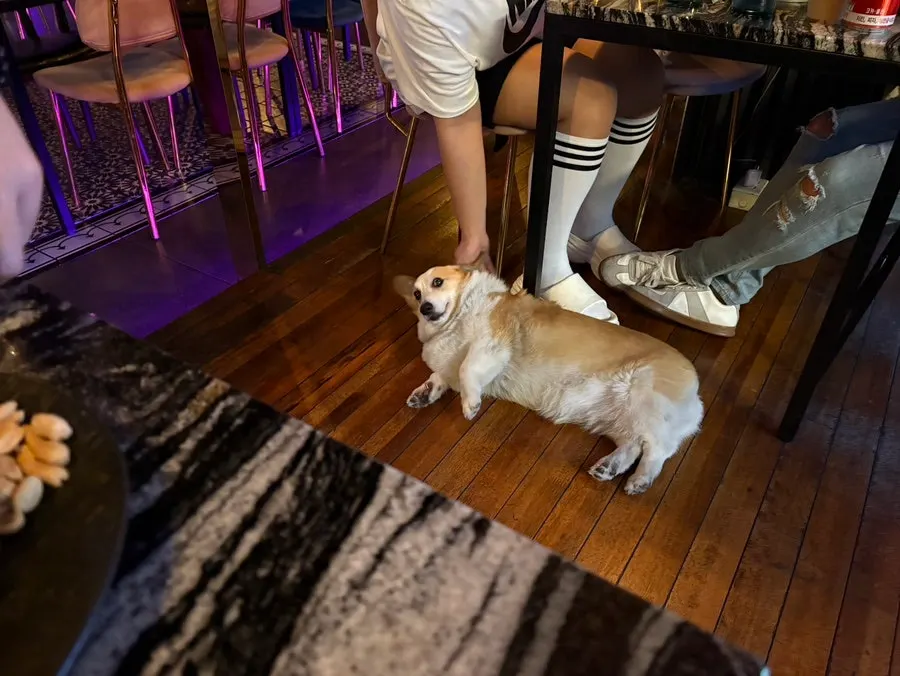 땅콩과 함께 나온 반건조오징어