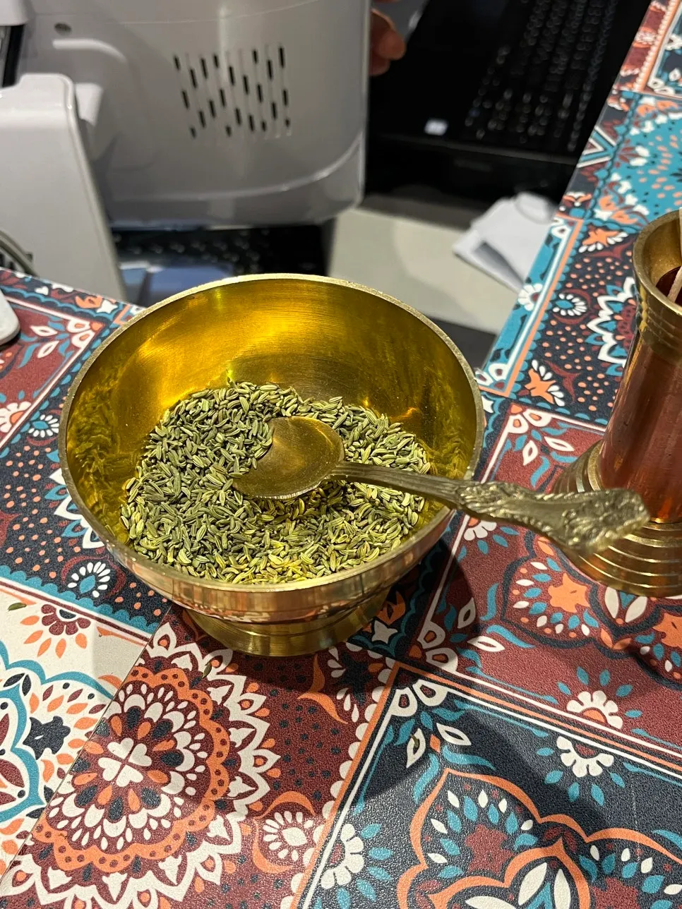 Fennel seeds on the counter for after the meal