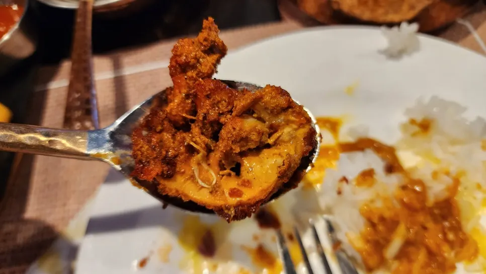Close-up of a tandoori chicken piece