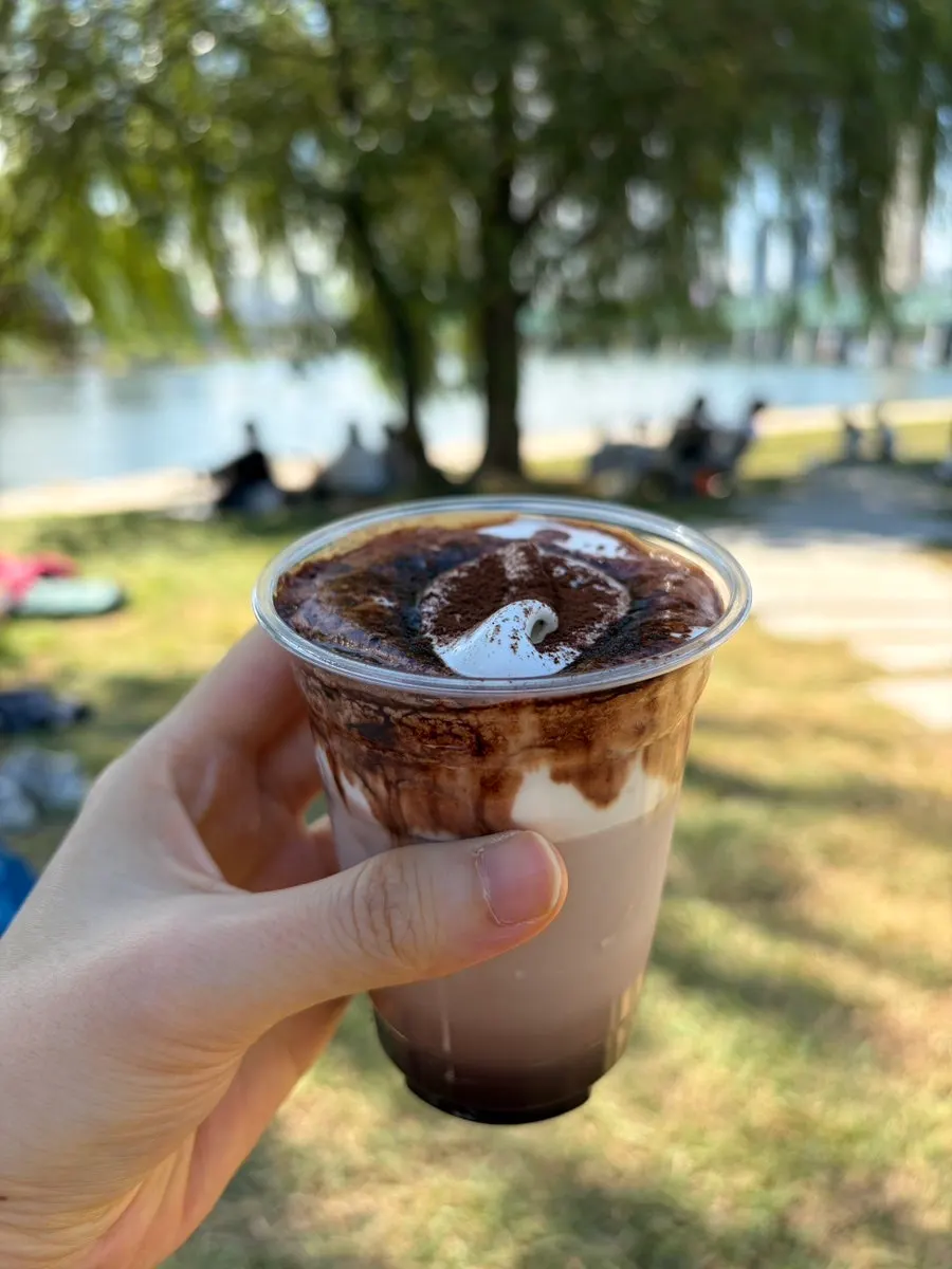 Choco choco schweppener topped with cream