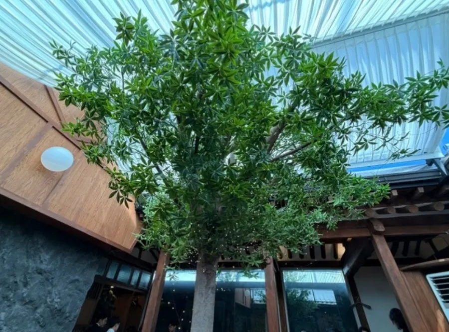 Wide view of the hanok dining space at Concasse Anguk
