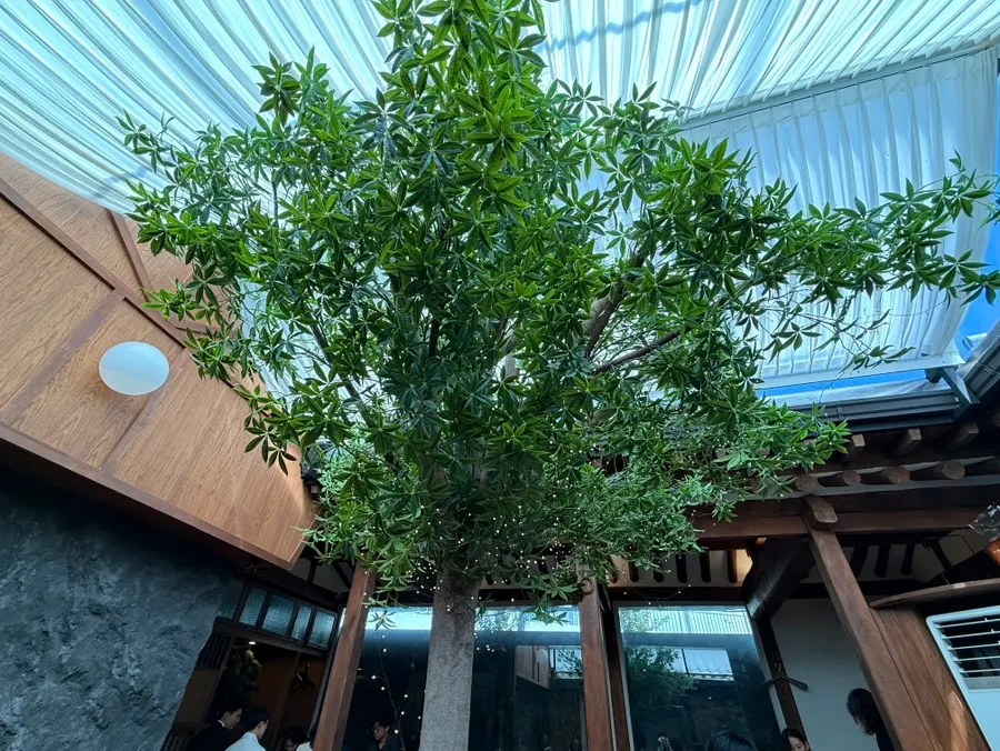 Interior view of Concasse Anguk