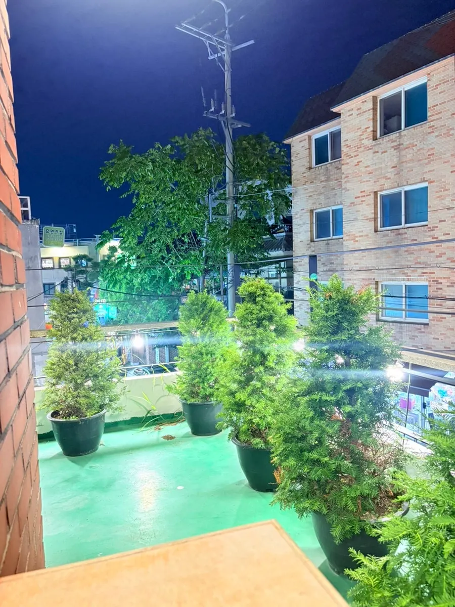 2층 내부에서 본 테라스 풍경