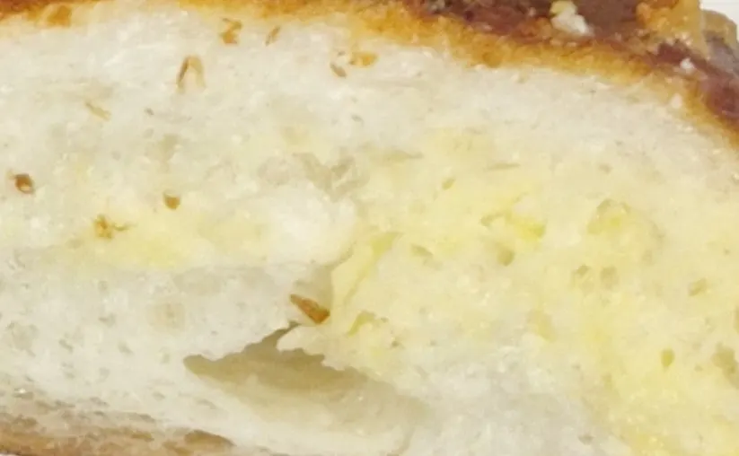 코지베어 감자소금빵