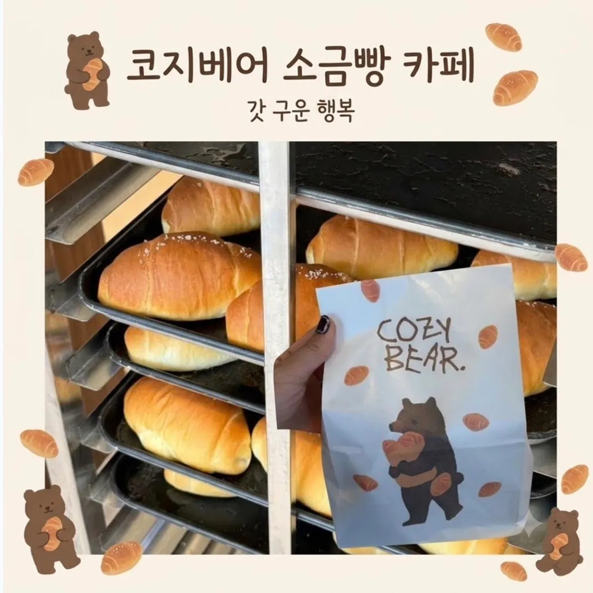 Main image of Cozy Bear, a salt bread café in the Songdo hagwon district