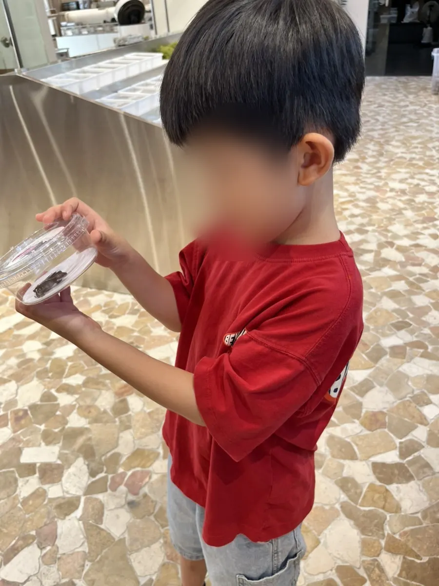 분양받은 크레스티드게코 아잔틱 개체