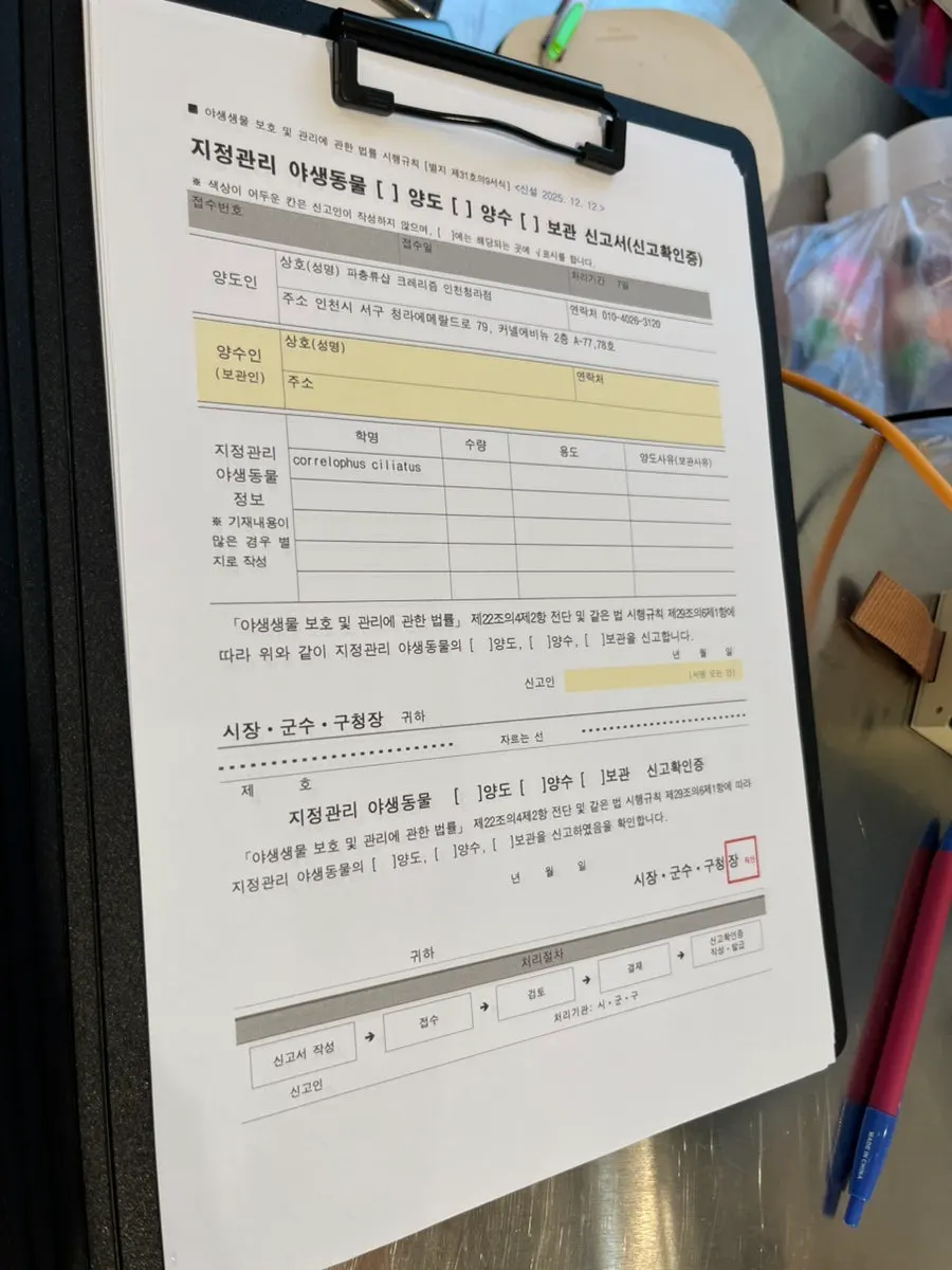 크레스티드게코 분양 관련 서류 작성 모습