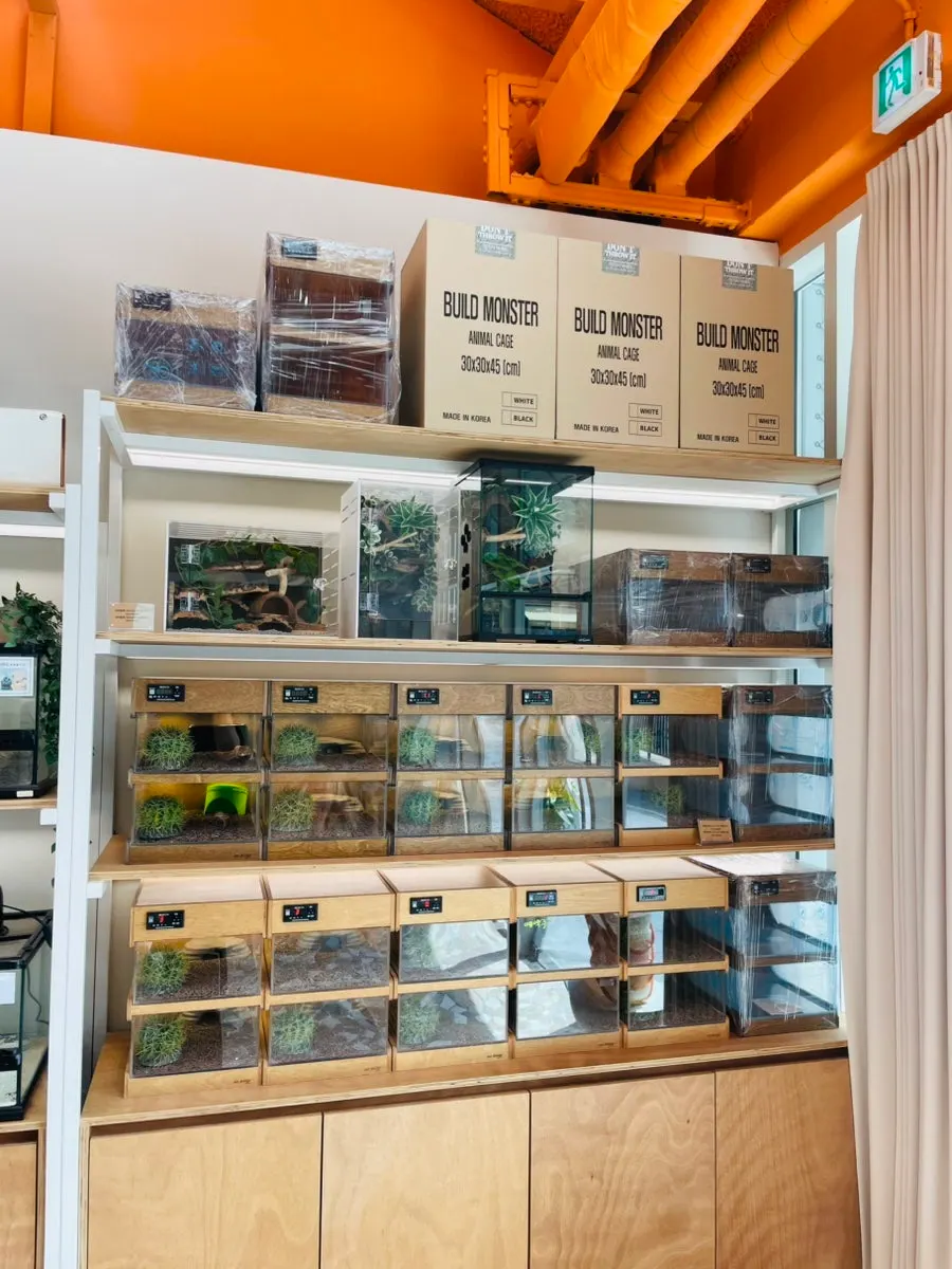 Terrariums arranged by size inside the store