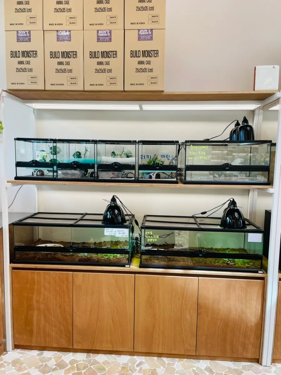 A display shelf lined with terrariums of various shapes