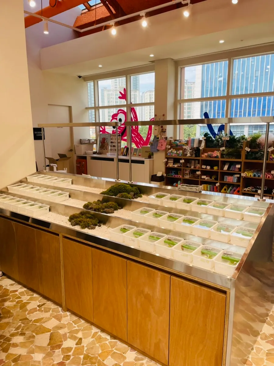 A close-up view of the terrarium display shelves