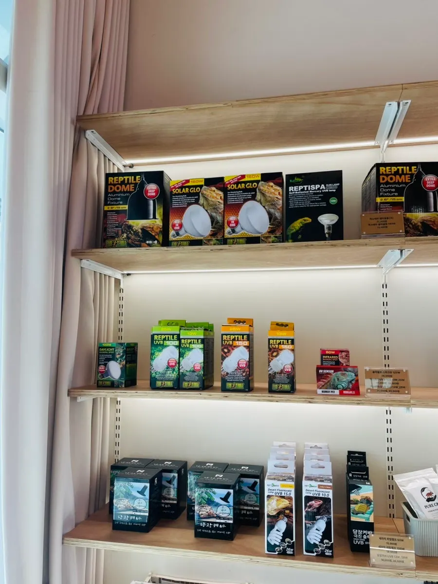 A corner displaying food and supplies together