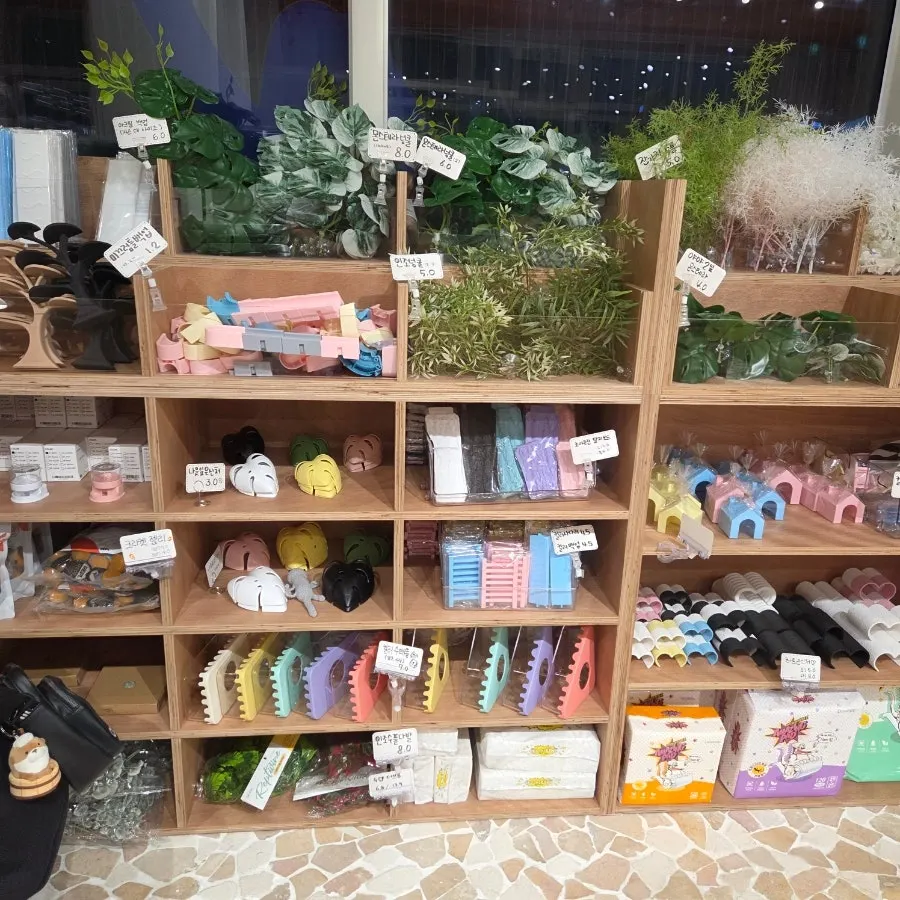 사육장 속 크레스티드게코