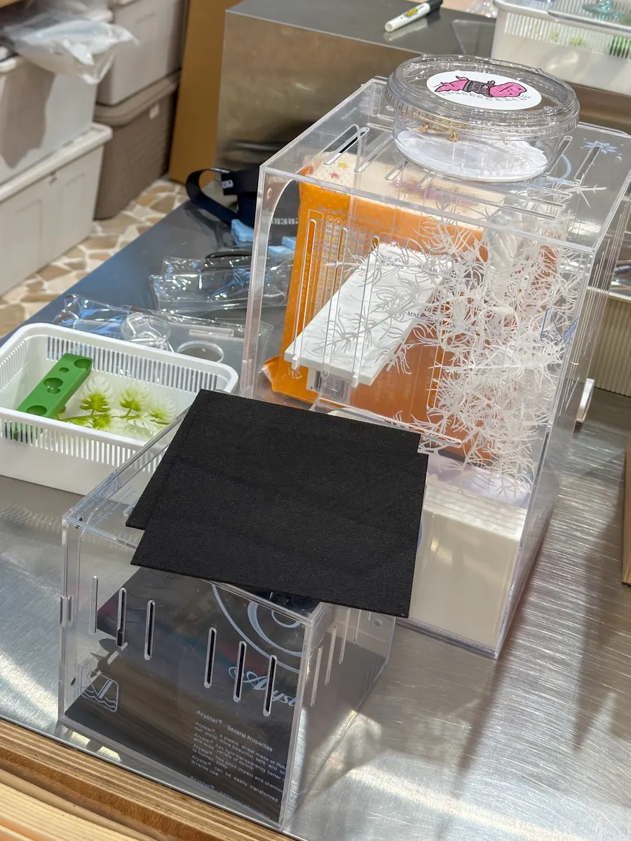 The crested gecko supplies corner at Crerism Incheon Cheongna Branch