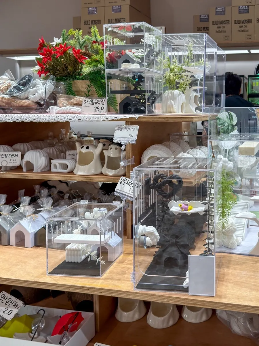 Hides, decor and other crested gecko supplies