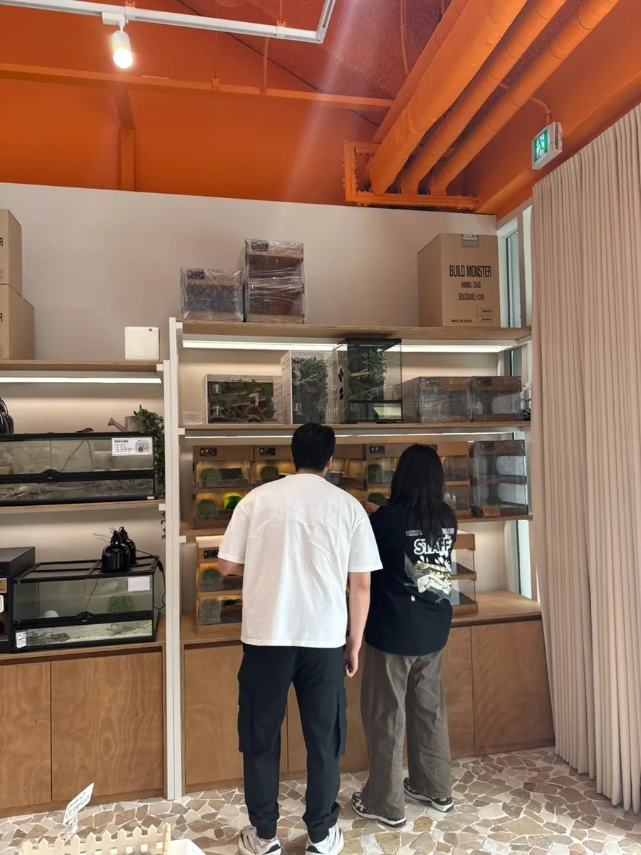 파충류 먹이와 용품 진열