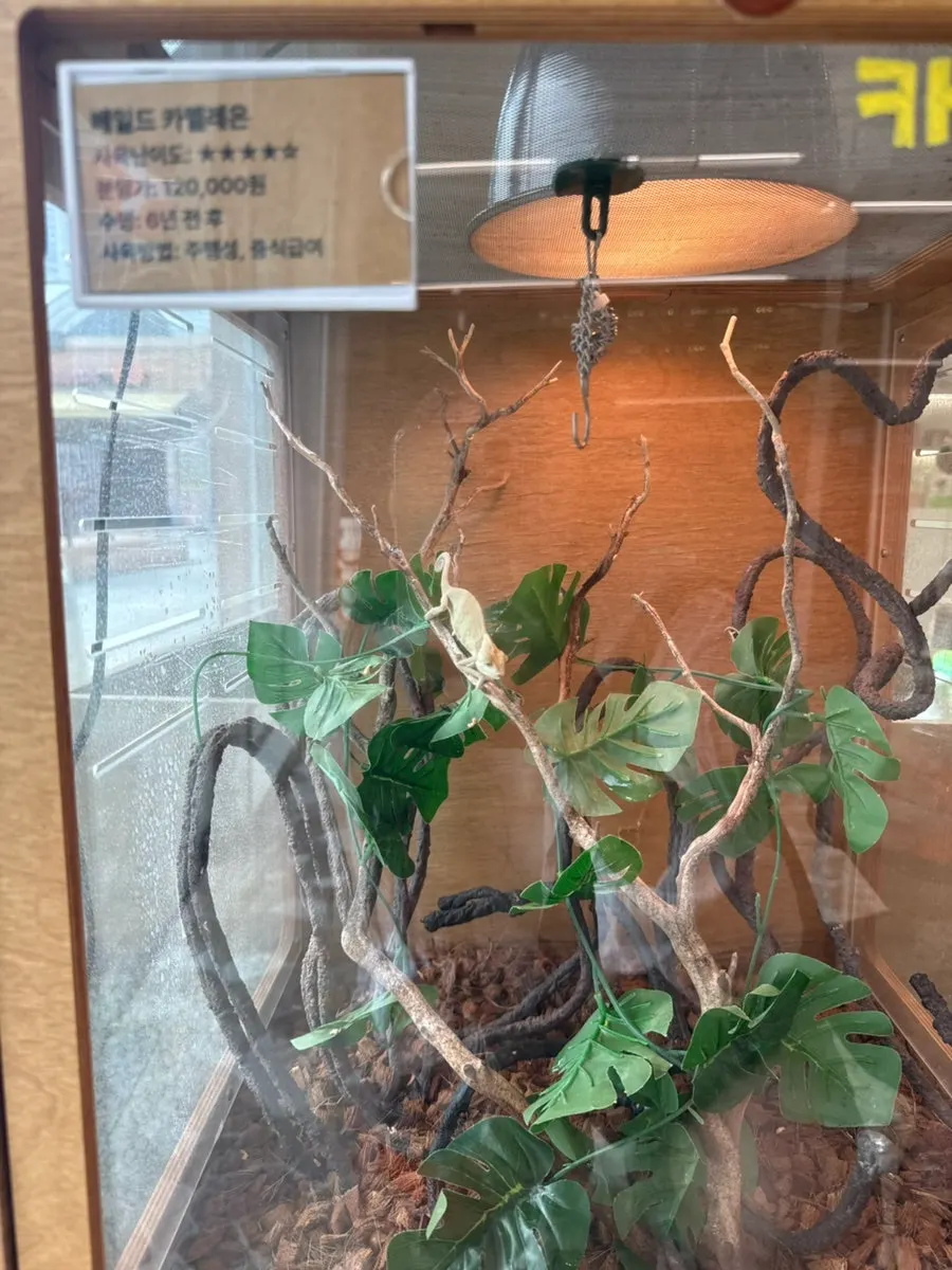 크레리즘 청라점 용품 진열 코너