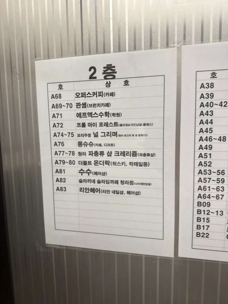 집에 온 크레스티드게코 루원이