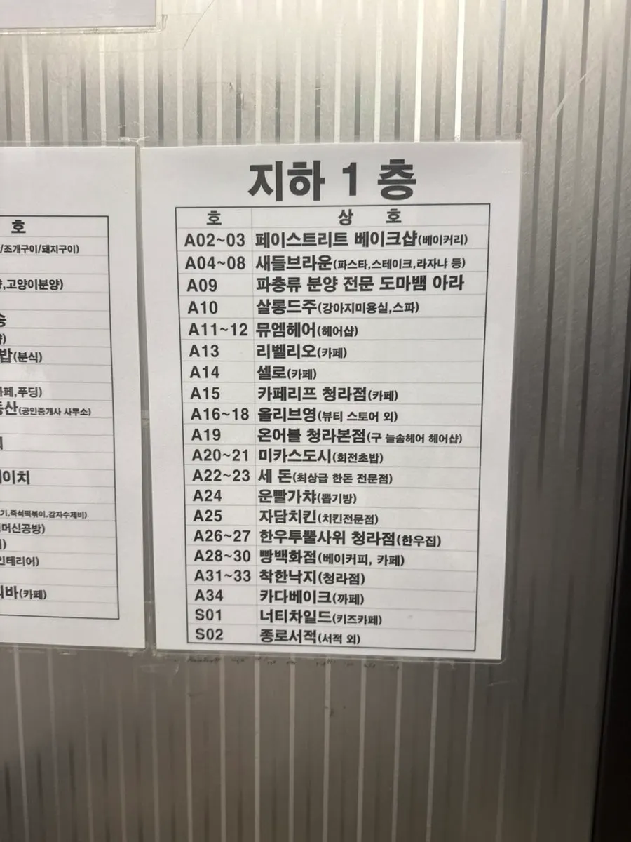 밥 먹는 크레스티드게코 루원이