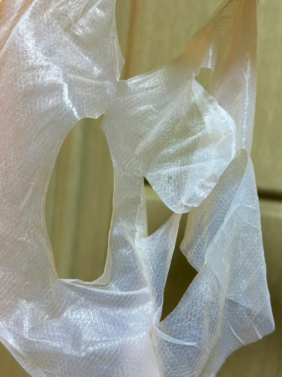 Surface of the removed patch mask sheet