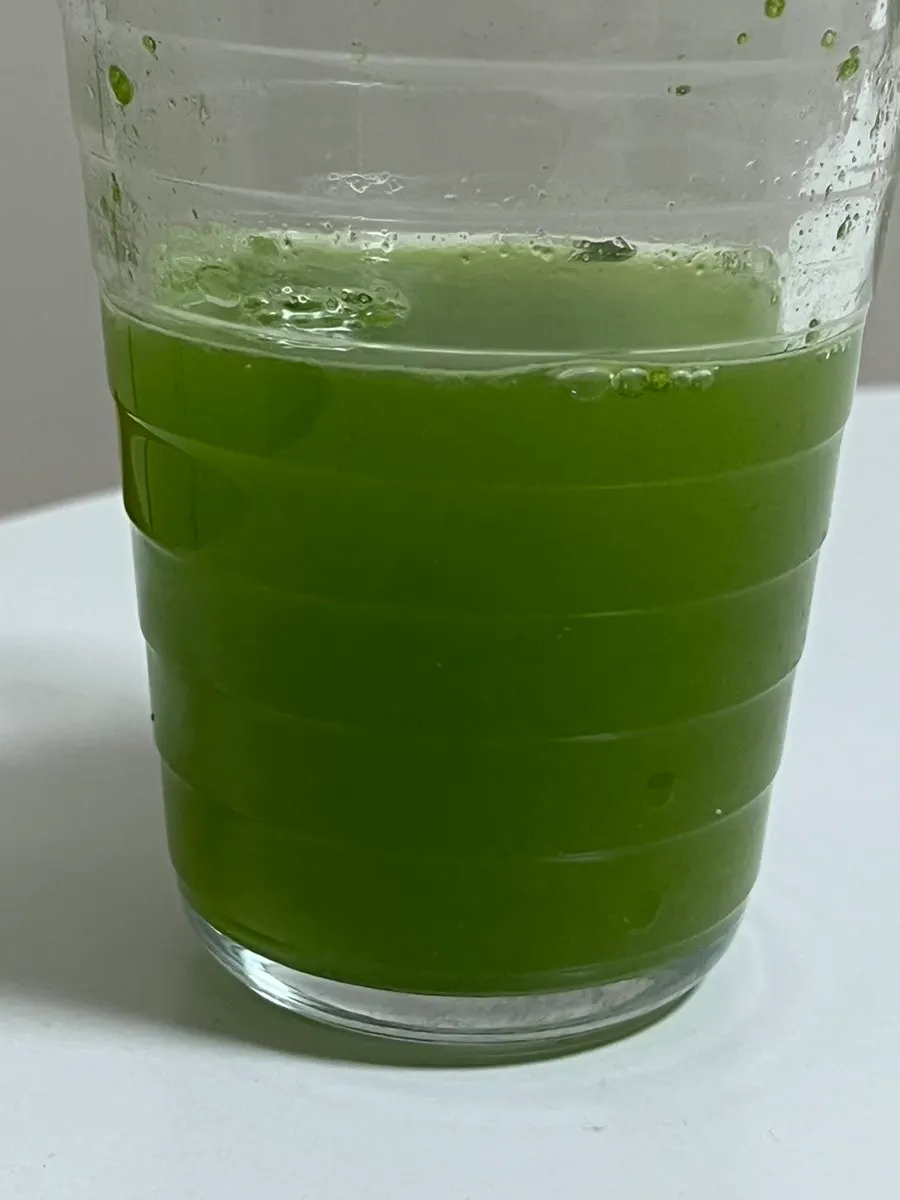 Mixing Curly Kale Flo powder into water
