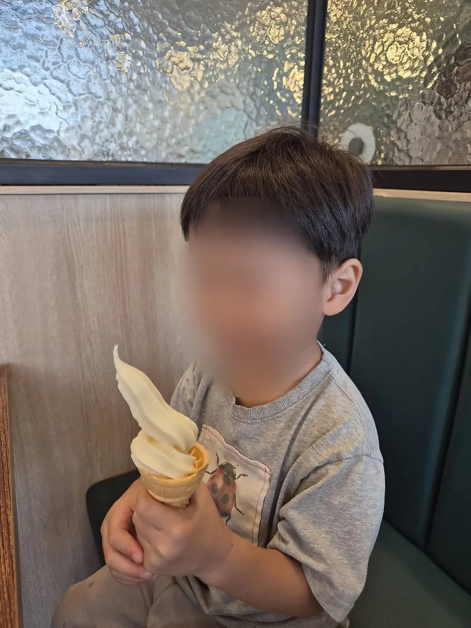 Twins eating their ice cream