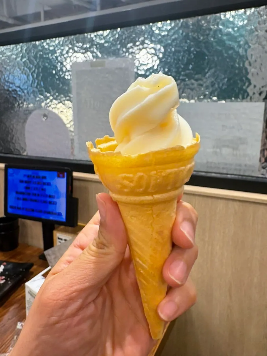 A bowl of ice cream for dessert