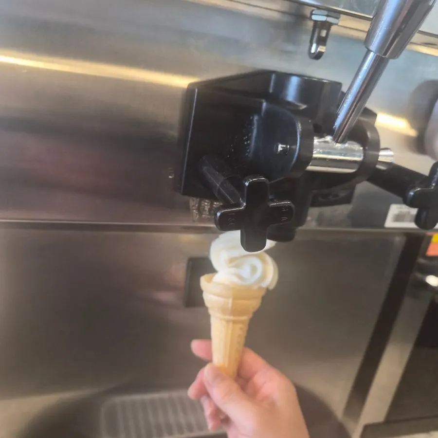 A single bite of ice cream for dessert