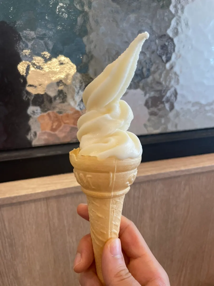Vanilla ice cream brought over for dessert