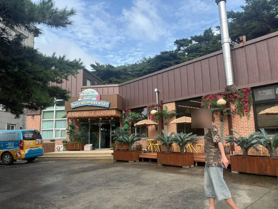 Visiting Daecheon Brewery Craft Beer Brewery & Pizza Pub