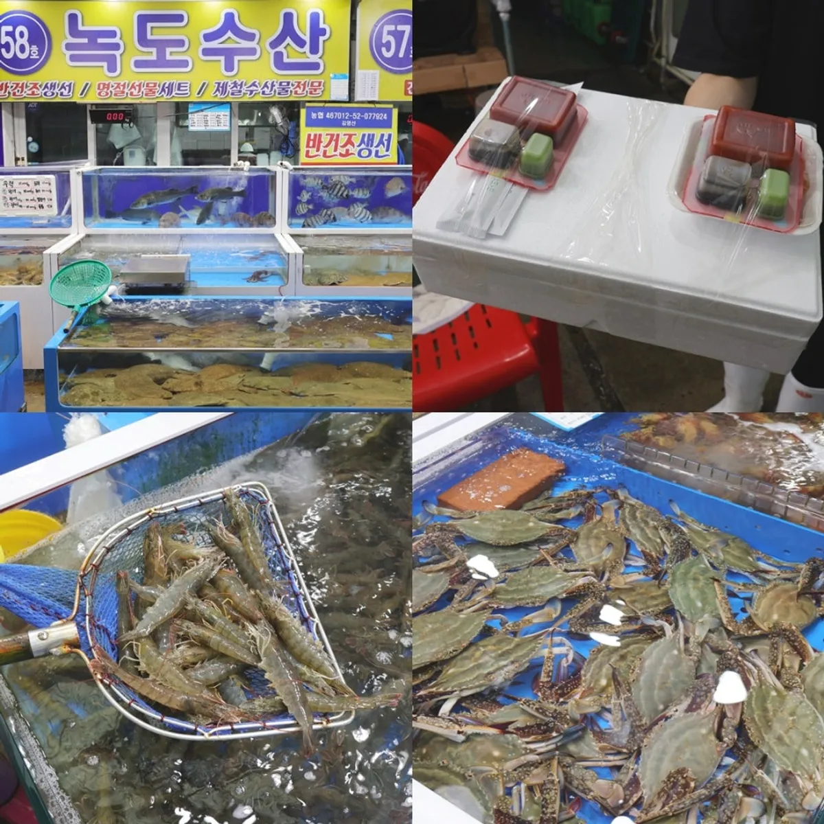 대천항 수산시장 녹도수산 방문 대표 사진