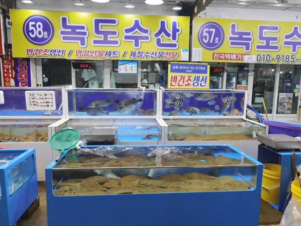 꽃게철 수조에 가득한 꽃게