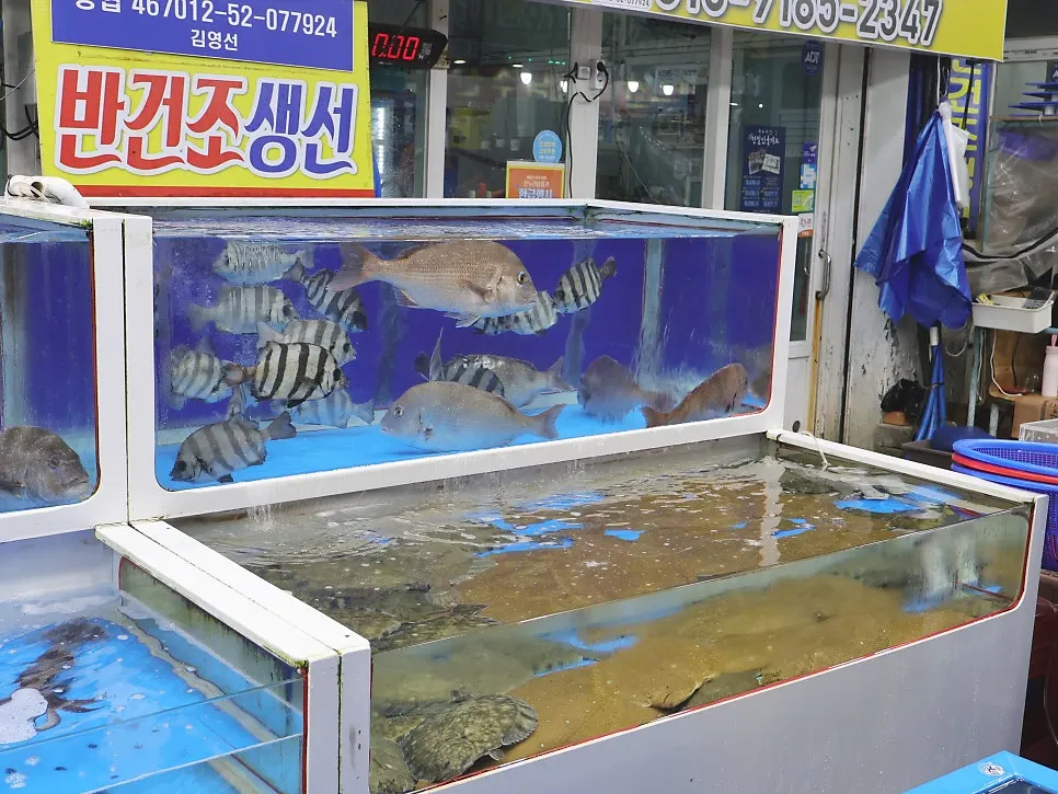 시장 점포마다 늘어선 수조 모습