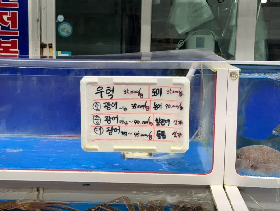 녹도수산 맑게 관리된 수조