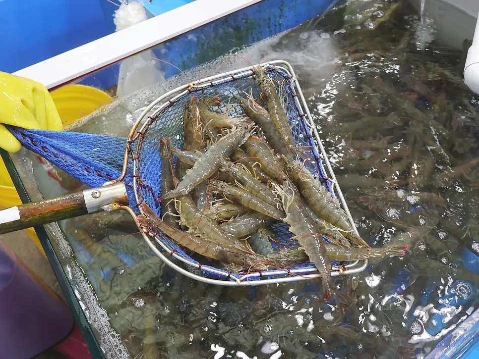 수조 앞에 붙은 해산물 가격표