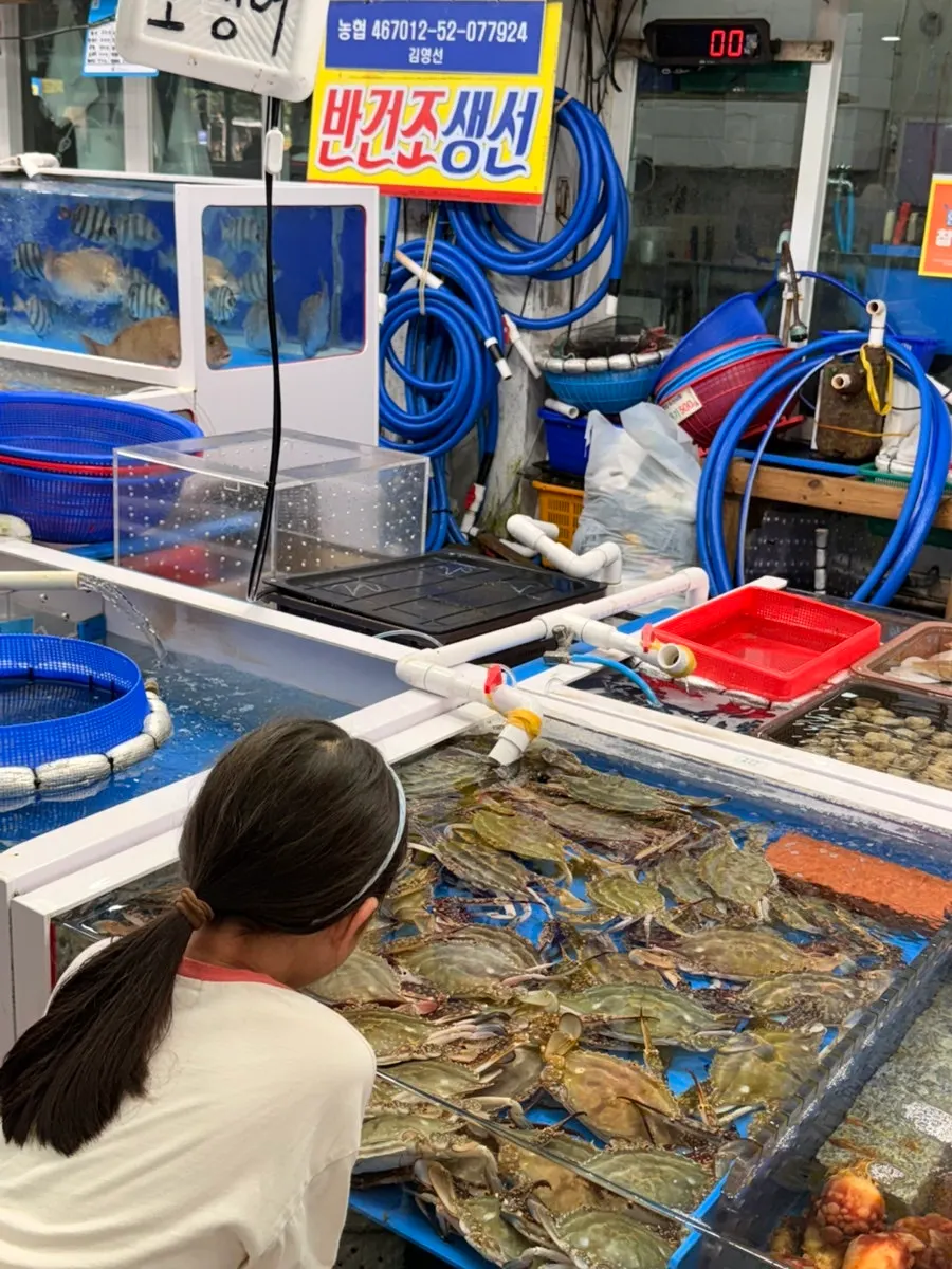 사장님이 보여준 큼직한 새우