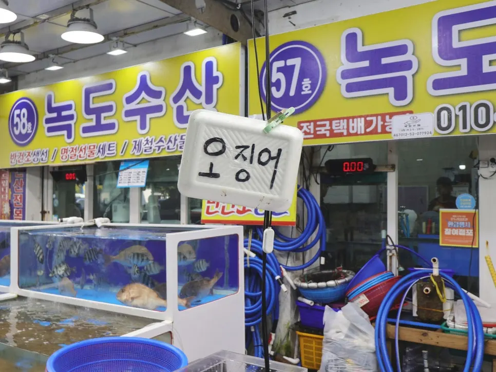수조 속 살아있는 대천항 꽃게