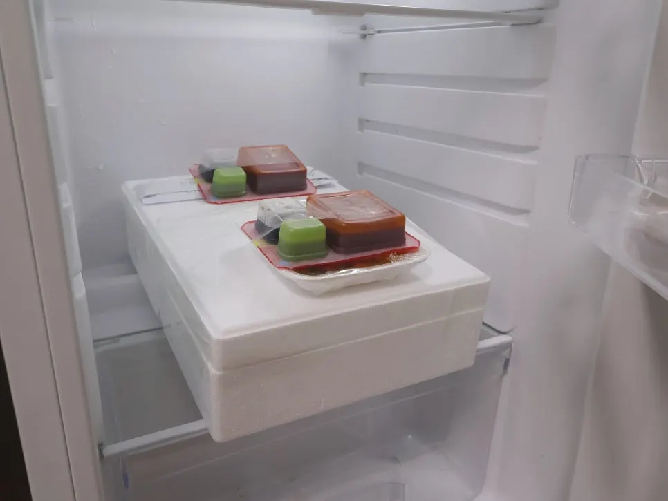 서비스로 받은 멍게