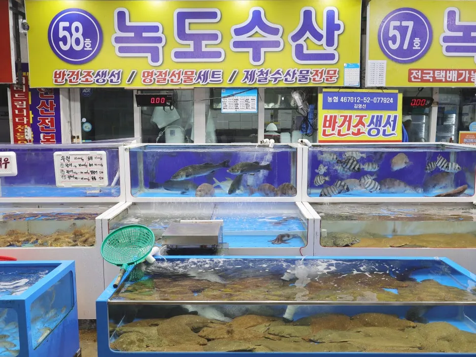 가족이 함께 차린 회 상차림