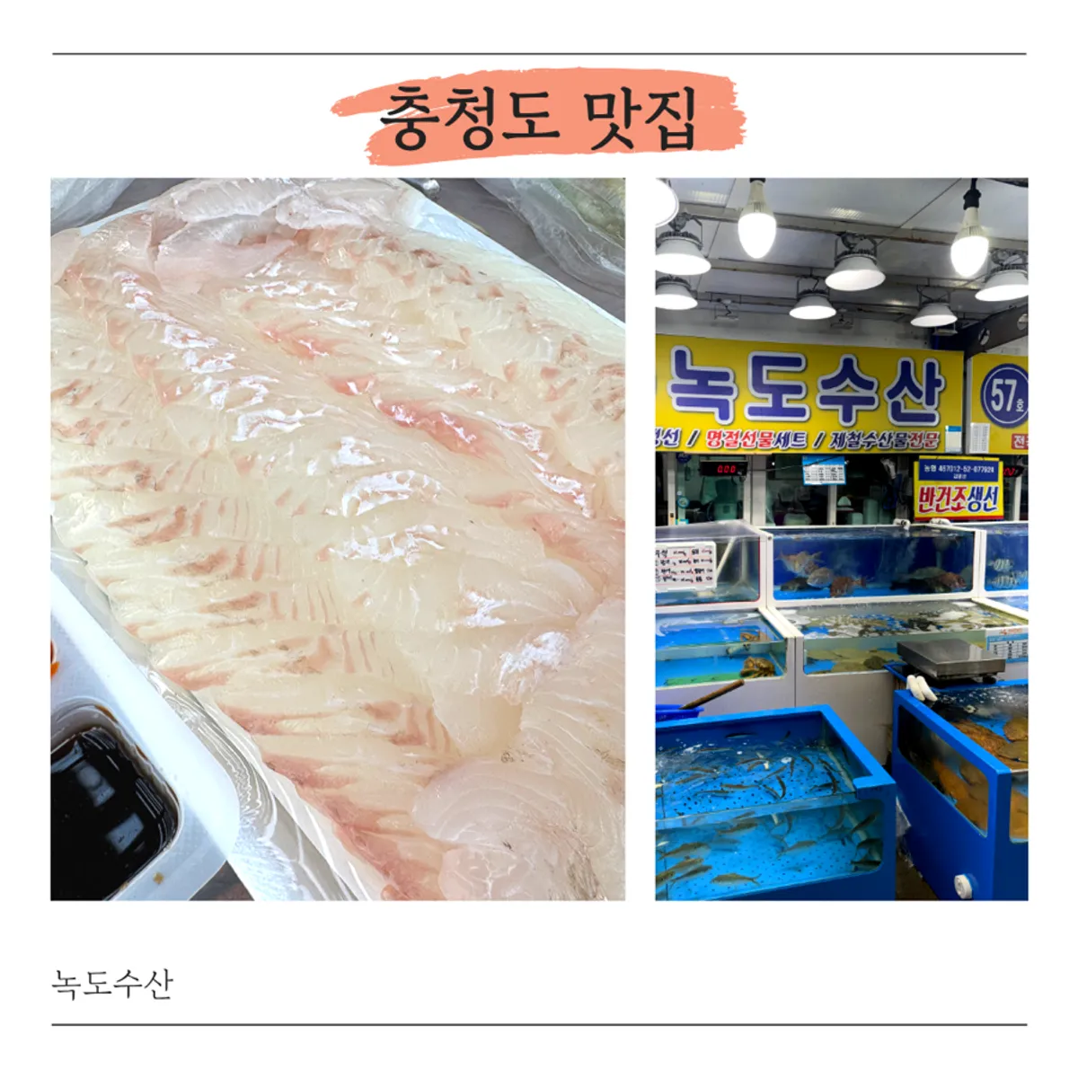 대천항 수산시장 녹도수산 대표 이미지